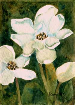 May - "White Blossoms" by Karolyn Alexander, Whitewater WI - Watercolor - SOLD